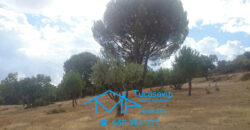 Finca en Pelayos de la Presa