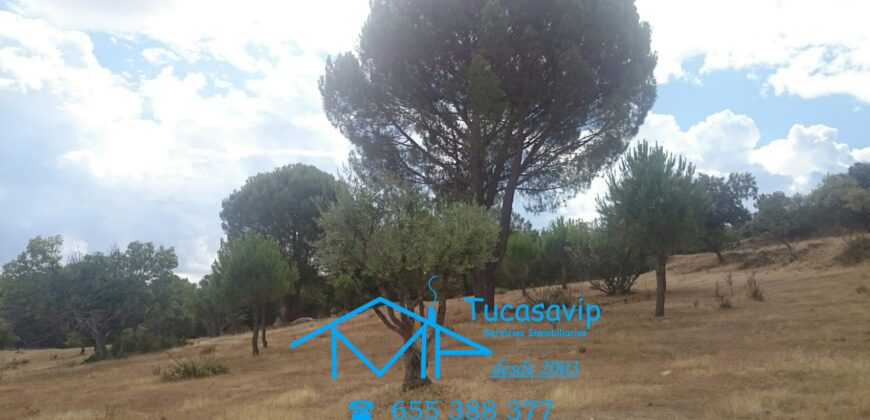 Finca en Pelayos de la Presa