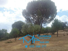 Finca en Pelayos de la Presa