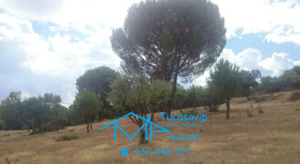 Finca en Pelayos de la Presa