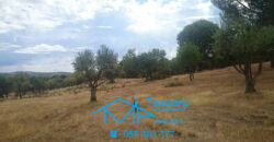 Finca en Pelayos de la Presa