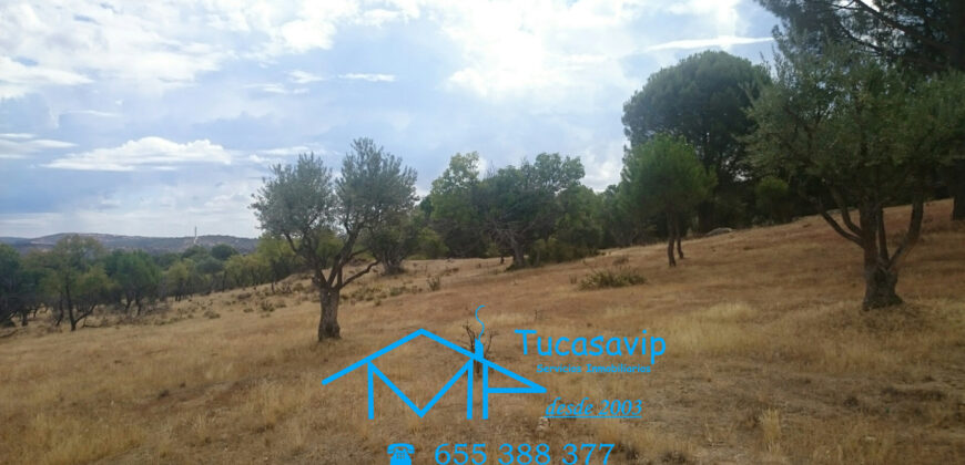 Finca en Pelayos de la Presa