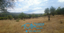 Finca en Pelayos de la Presa