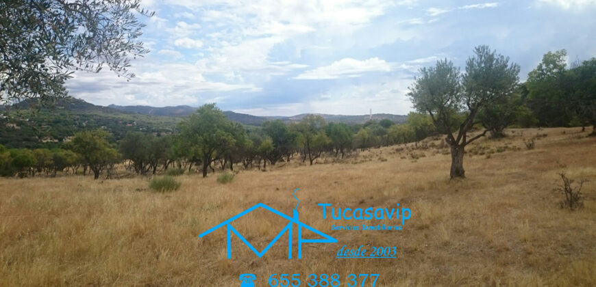 Finca en Pelayos de la Presa