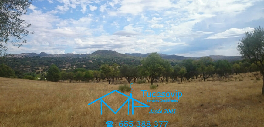 Finca en Pelayos de la Presa