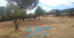 Finca en Pelayos de la Presa