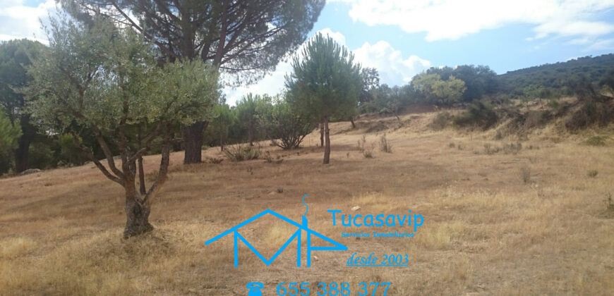 Finca en Pelayos de la Presa