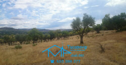 Finca en Pelayos de la Presa