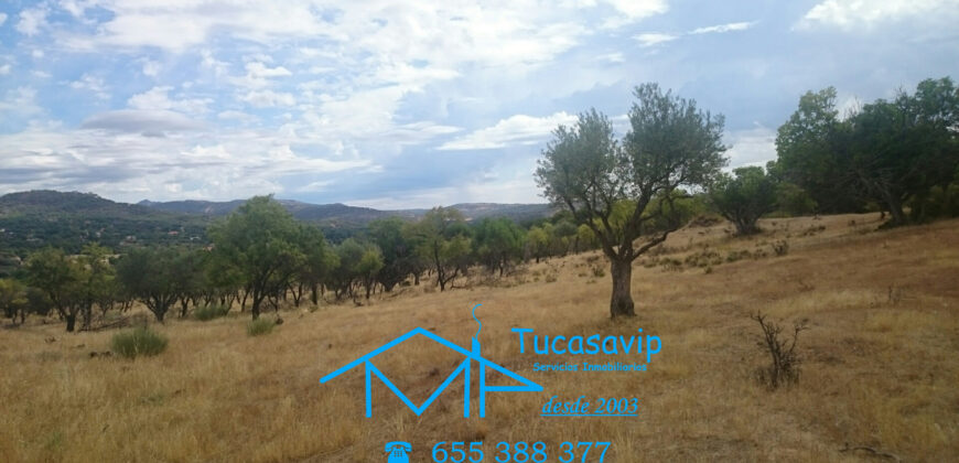 Finca en Pelayos de la Presa