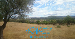 Finca en Pelayos de la Presa