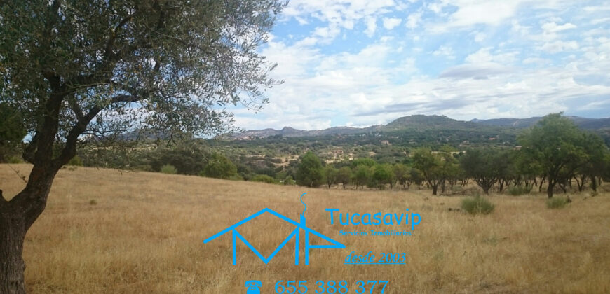 Finca en Pelayos de la Presa