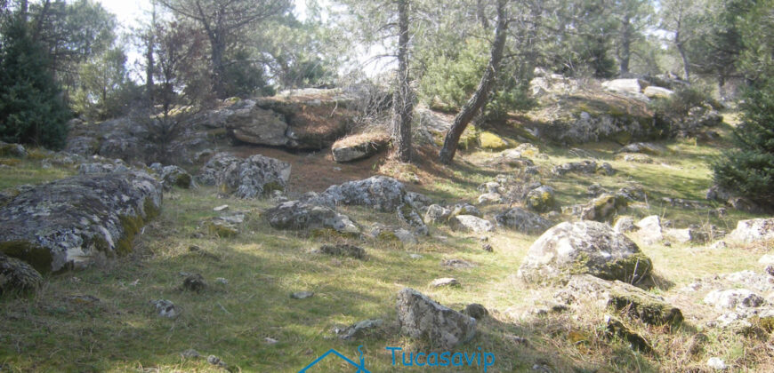 Parcela en Cebreros