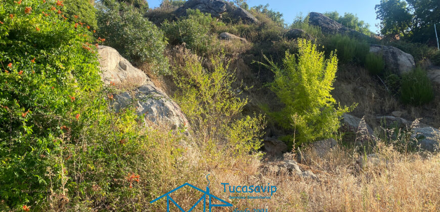 Parcela en El Tiemblo