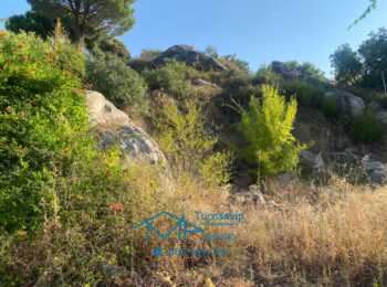 Parcela en El Tiemblo