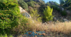 Parcela en El Tiemblo