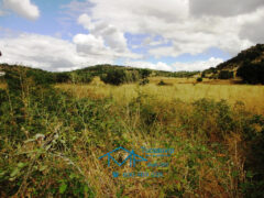 Terreno en Cebreros