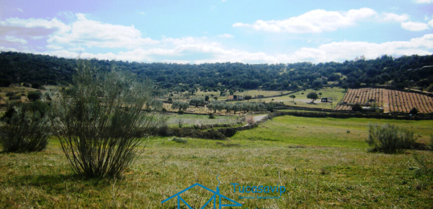 Terreno en Cebreros
