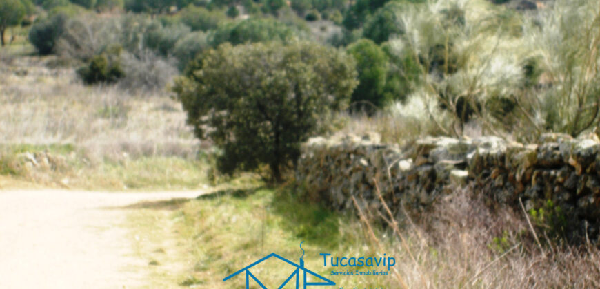 Terreno en Cebreros