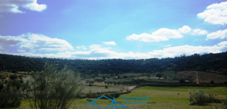 Terreno en Cebreros