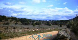 Terreno en Cebreros