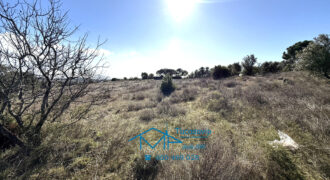 Finca rústica en Cebreros