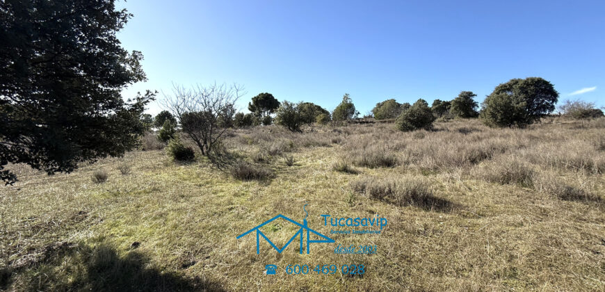 Finca rústica en Cebreros