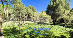 Parcela en San Martín de Valdeiglesias