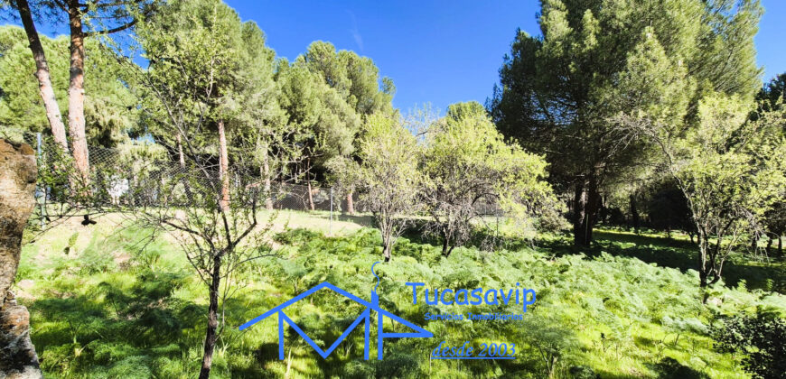 Parcela en San Martín de Valdeiglesias