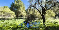Parcela en San Martín de Valdeiglesias