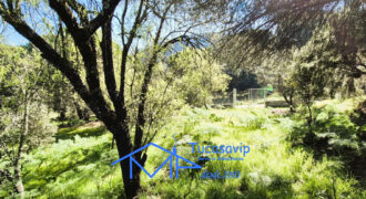 Parcela en San Martín de Valdeiglesias