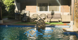 Chalet pareado en Cebreros