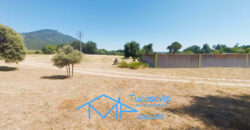 Finca Rústica en San Martín de Valdeiglesias