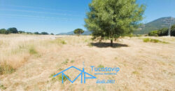Finca Rústica en San Martín de Valdeiglesias