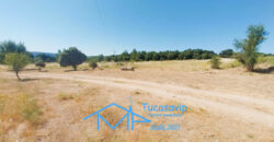 Finca Rústica en San Martín de Valdeiglesias