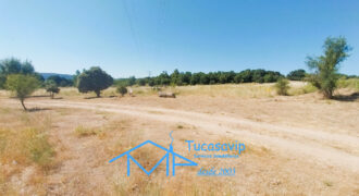 Finca Rústica en San Martín de Valdeiglesias