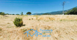 Finca Rústica en San Martín de Valdeiglesias