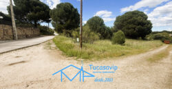 Parcela rústica en Valdesanmartín