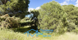 Parcela rústica en Valdesanmartín
