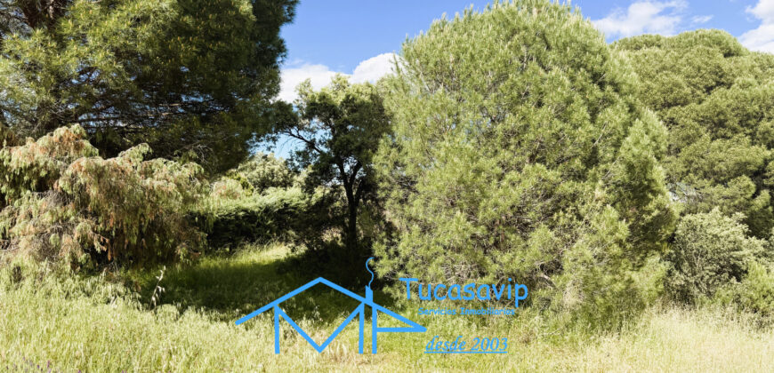Parcela rústica en Valdesanmartín