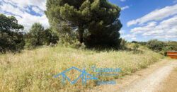 Parcela rústica en Valdesanmartín