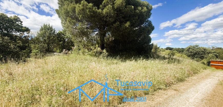 Parcela rústica en Valdesanmartín
