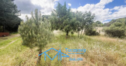 Parcela rústica en Valdesanmartín