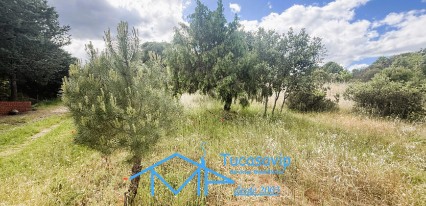 Parcela rústica en Valdesanmartín
