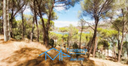 Chalet en San Martín de Valdeiglesias