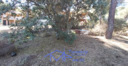 Chalet en San Martín de Valdeiglesias