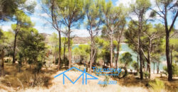 Chalet en San Martín de Valdeiglesias