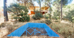 Chalet en San Martín de Valdeiglesias