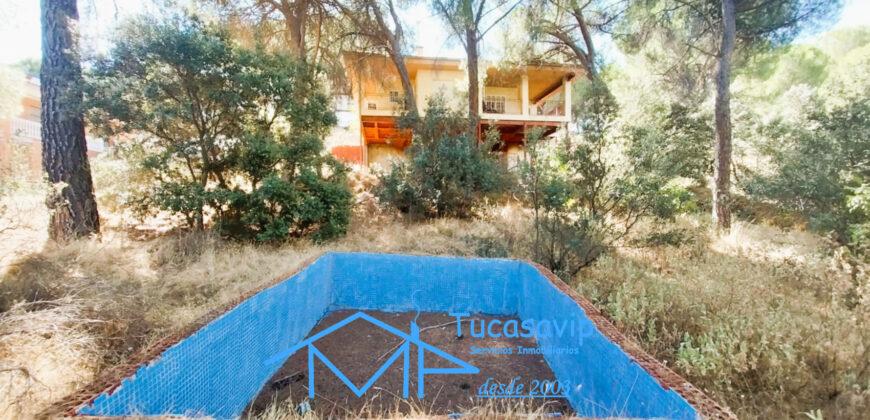 Chalet en San Martín de Valdeiglesias