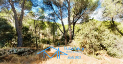 Chalet en San Martín de Valdeiglesias