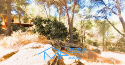 Chalet en San Martín de Valdeiglesias